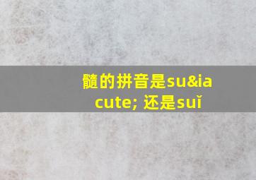 髓的拼音是suí 还是suǐ